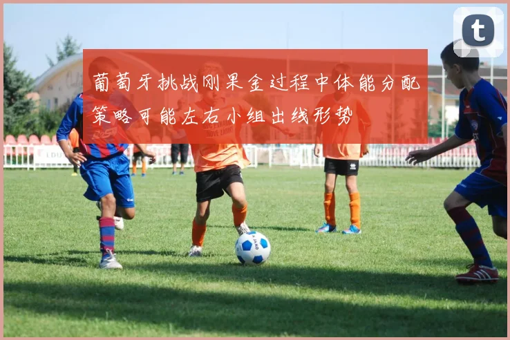 葡萄牙挑战刚果金过程中体能分配策略可能左右小组出线形势