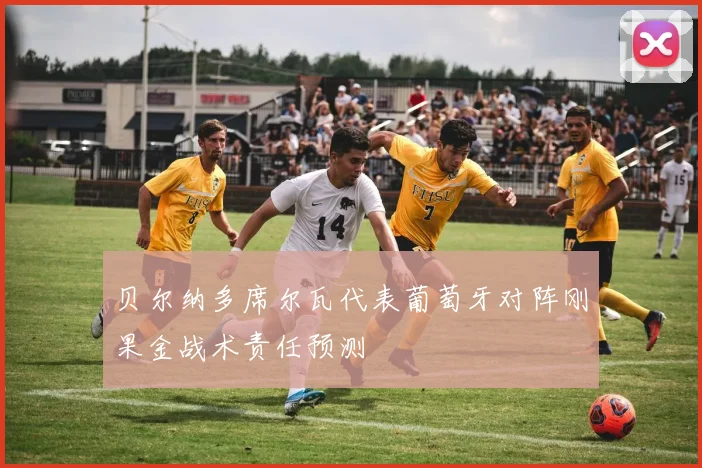 贝尔纳多席尔瓦代表葡萄牙对阵刚果金战术责任预测