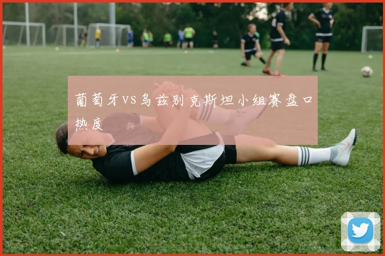 葡萄牙vs乌兹别克斯坦小组赛盘口热度