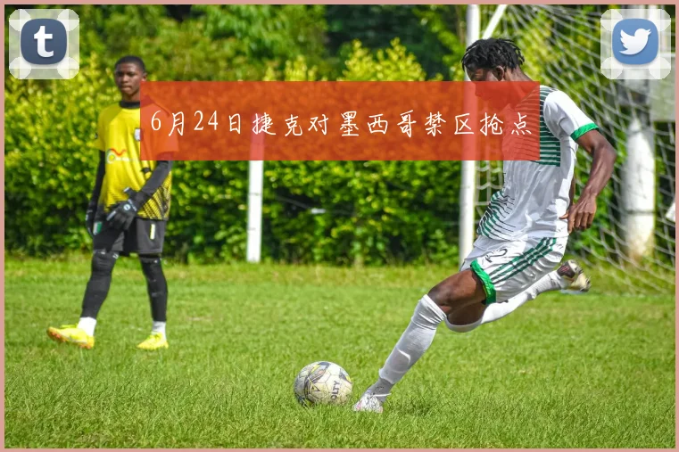 6月24日捷克对墨西哥禁区抢点