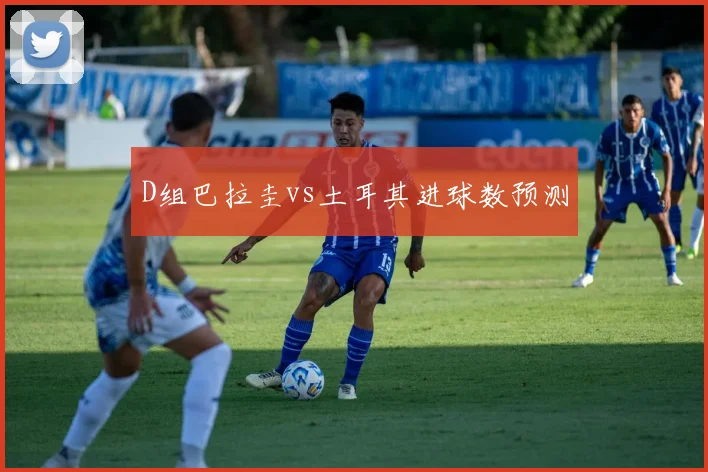 D组巴拉圭vs土耳其进球数预测
